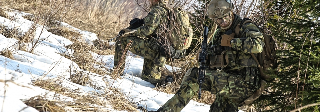 01_bojove_strelby_mechanizovane_cety_-_zastavka_pri_presunu_operace_iljanskaja.jpg