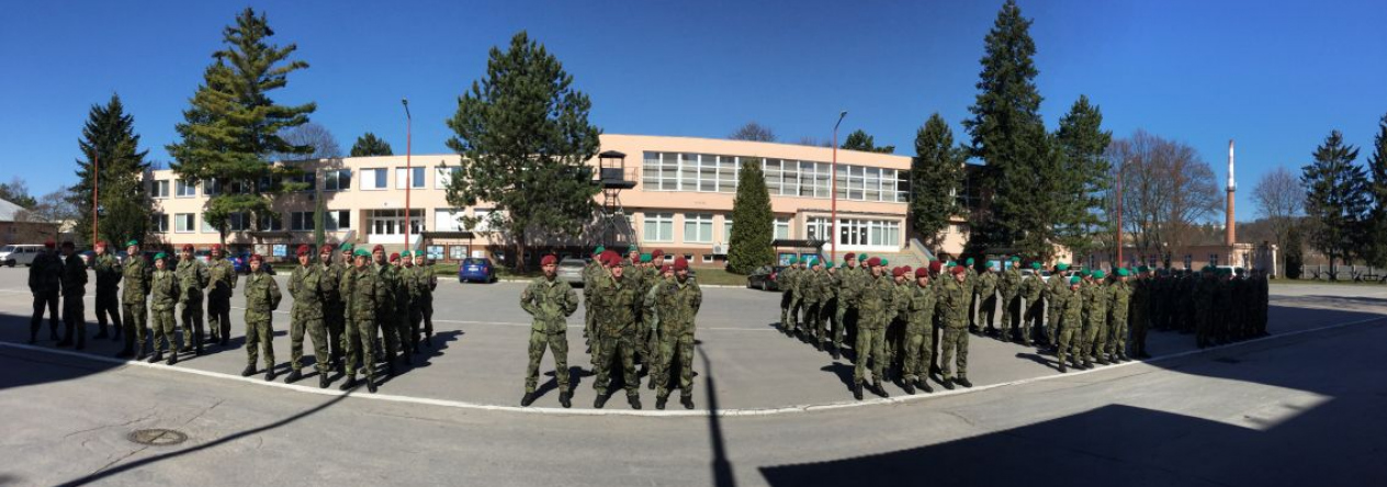 03_nastoupene_rotni_ukolove_uskupeni_training_bridge_2017.jpg
