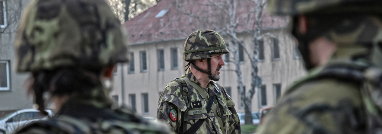 mobilizace2017_ngs_uprav005.jpg