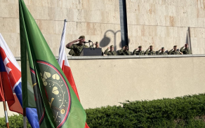 Cvičení CZECH LION 2025