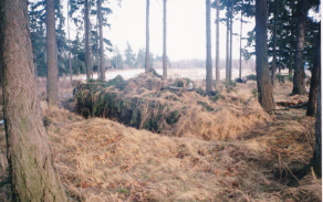 I další snímek nás zavádí do historie 72. mechanizovaného praporu přesunutého z Mikulova, tentokrát na maskované vozidlo BVP-1 v rámci výcviku. 