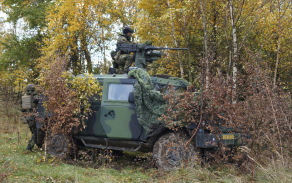 Původní výzbrojí 74. lehkého motorizovaného praporu byla lehká pancéřová vozidla IVECO a u průzkumné čety pak čtyři vozidla Pandur. V současné době disponuje reorganizovaný prapor vozidly BVP-2, ale má být jako první přezbrojen na nové CV90. 