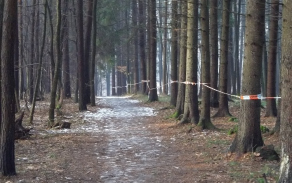 100_5175.jpg